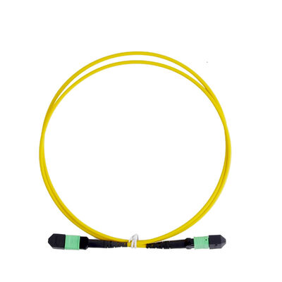 Singlemod G657A1 MPO to MPO Fiber Optic Patch Cord