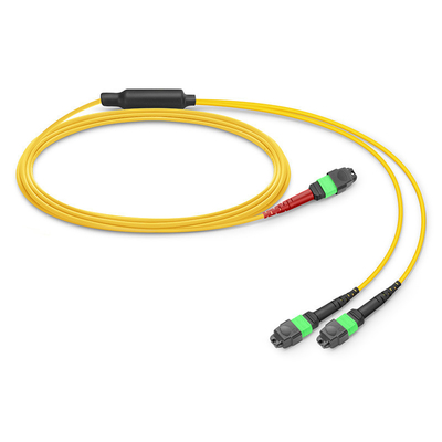24 Core Mtp Patch Cable Mpo Fiber Patch Cable SM OS2 con LSZH Out Jacket