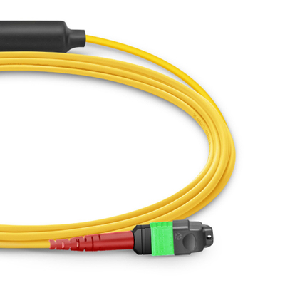 24 Core Mtp Patch Cable Mpo Fiber Patch Cable SM OS2 con LSZH Out Jacket