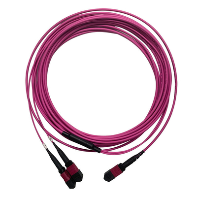 50/125 OM4 MM MPO Patch Cord 24F 3,0 mm PVC Multimode ad alta densità