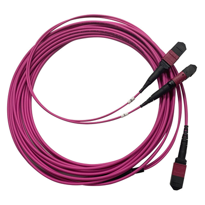 50/125 OM4 MM MPO Patch Cord 24F 3,0 mm PVC Multimode ad alta densità