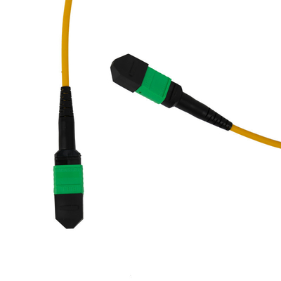 12F MPO Patch Cord 3mm LSZH Out Jacket PVC OFNR Outdoor Per Rete