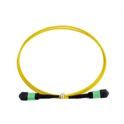 Singlemod G657A1 MPO a MPO Fiber Optic Patch Cord
