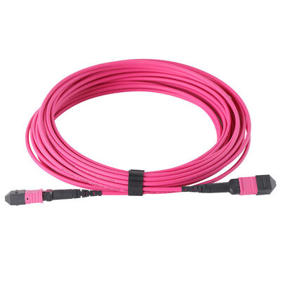 12/8/24 Fibre MPO a MPO OM3 Multimode Fiber Optic Patch Cord